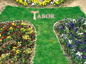 tabor